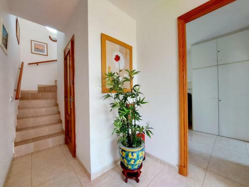 Villa Lim�n