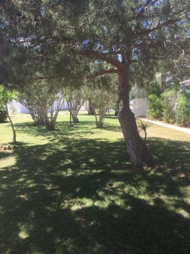 Cala Serena Beach 1