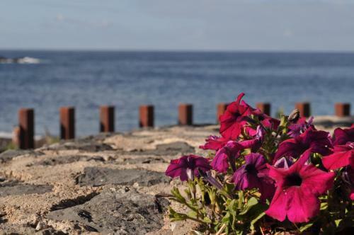 Apartamento Luar Del Carmen
