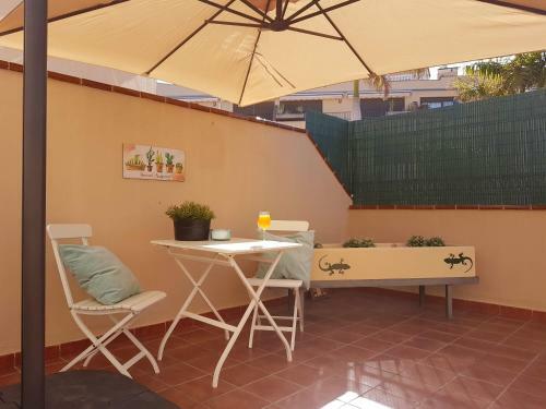 Tenerife Lizards - Duplex In The First Line