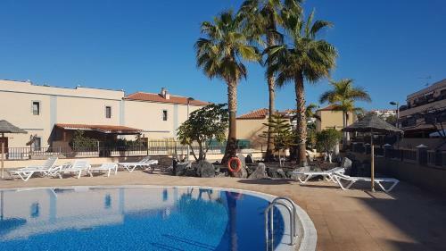 Tenerife Lizards - Duplex In The First Line