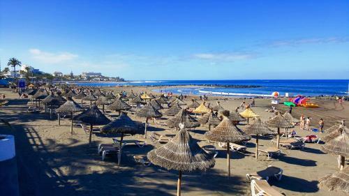 Apartamento 100 Meters From The Ocean