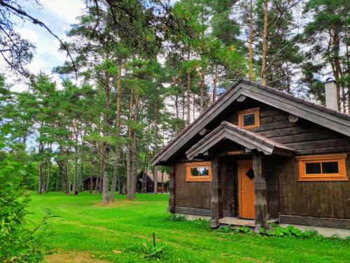 Lodge J�e��re Puhkekesus