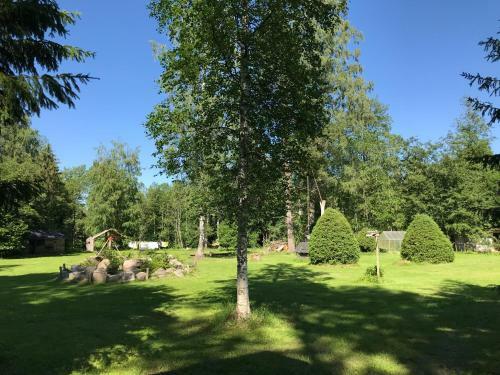 Lodge Haaviku Nature Cottage