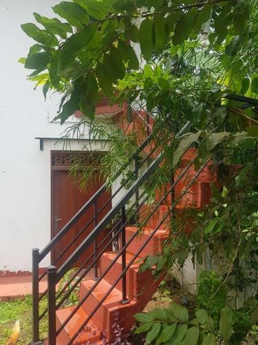 Bed & Breakfast Damanthi Villa