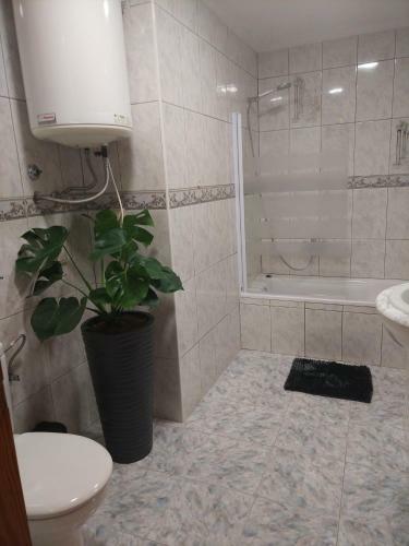 Apartamento Milka Tosal Gross