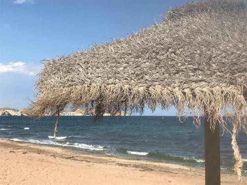 Apartamentos Luxury Beach & Rooftop Terrace