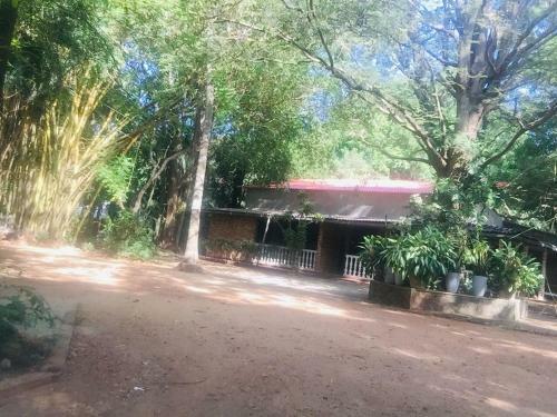 Hostal Serandib Family Guest