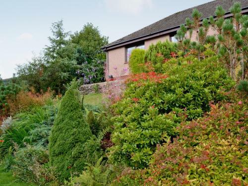 Auchraw Brae