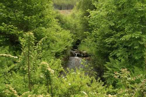 Apartamentos Balquhidder Braes Holiday Park