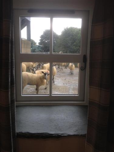 Highside Farm B&B