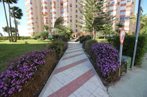 Kumquat Apartment