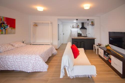 Apartamento Madrid 810