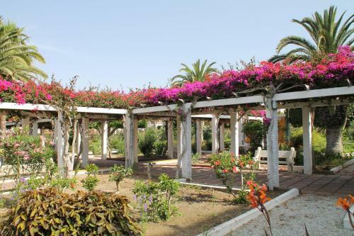 Apartamento Torroxcostaholiday