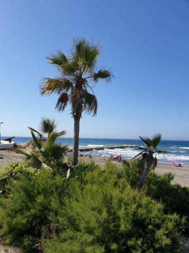 Apartamento Studio El Faro