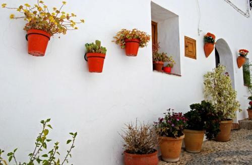 Exclusivo Apartamento 2 Dormitorios