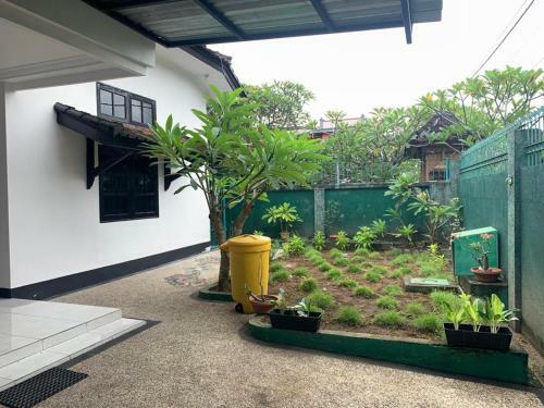 Hostal Kenzo Guest House