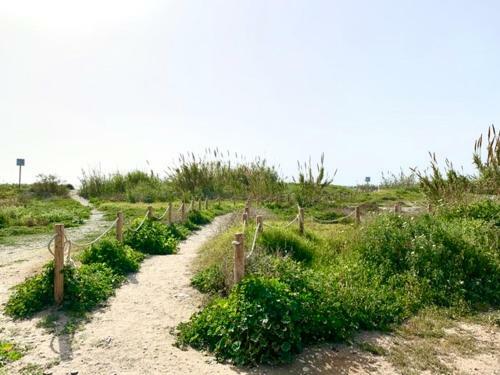 Apartamento Appartement Duna Beach