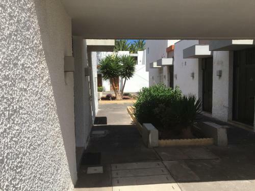 Apartamento Residencial Primavera