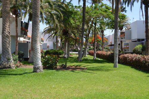 Apartamento Residencial Primavera