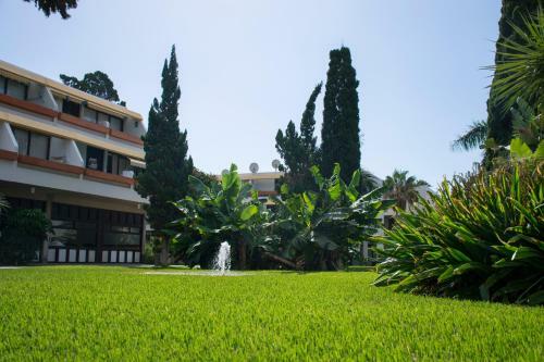 Apartamento Amazing Seasights - Tenerife