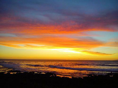 By Jonni Res. Chaparral