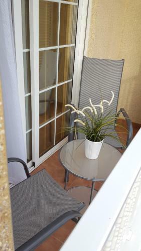 Apartamento Toronjil