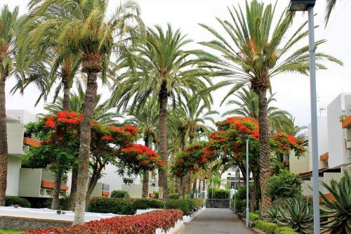 Ke Casetta Tenerife