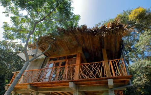 Bed & Breakfast The Winsome & Tree House
