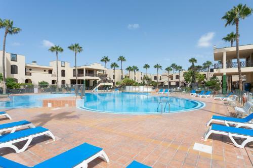 Apartamento Peaceful Premium Studio