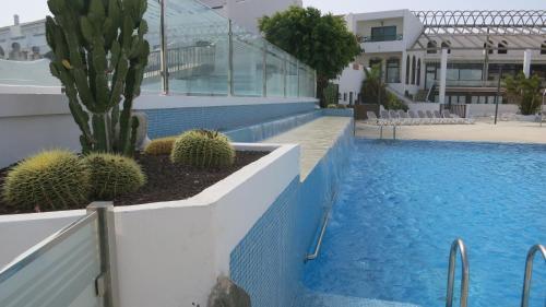 Apartamento Tenerife With Impressive Pool 25