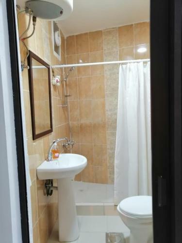Bed & Breakfast Petra Wonder Home