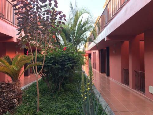 Apartamento Dreaming The Sun, Tenerife