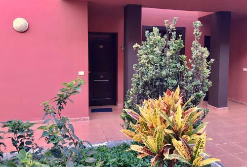 Apartamento Dreaming The Sun, Tenerife