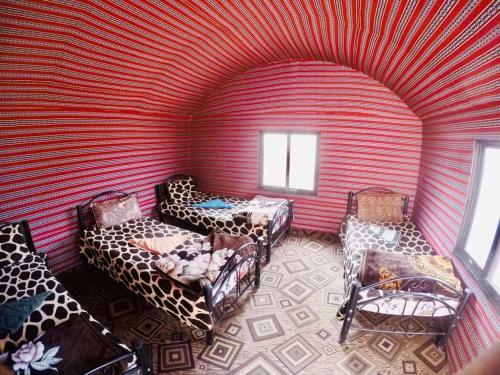Albergue Go To Bedouin Desert And Tours