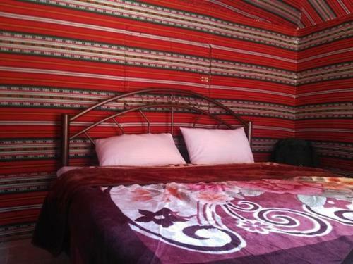 Albergue Go To Bedouin Desert And Tours