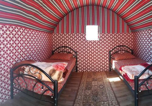 Albergue Go To Bedouin Desert And Tours