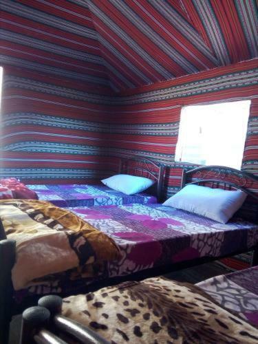 Albergue Go To Bedouin Desert And Tours