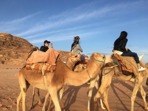 Albergue Go To Bedouin Desert And Tours