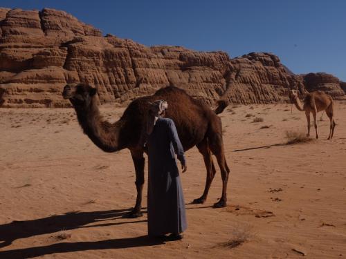 Albergue Go To Bedouin Desert And Tours