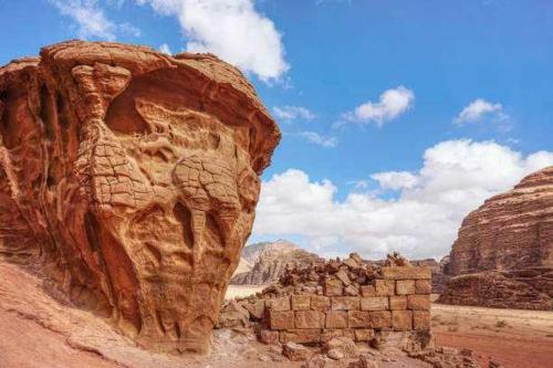 Albergue Go To Bedouin Desert And Tours