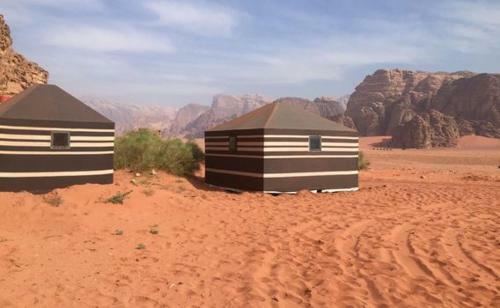 Albergue Go To Bedouin Desert And Tours