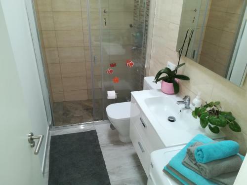 Apartment Residencia Carabela