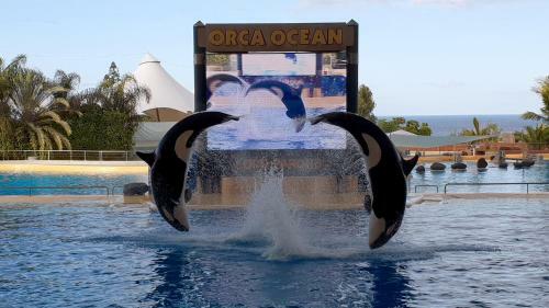 Apartamento Victory South Tenerife