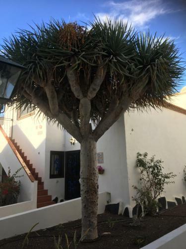 Apartamento Tenerife Costa Del Silencio