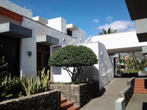Brand New Apartment In Primavera