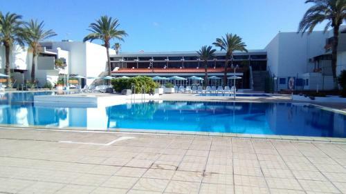 Brand New Apartment In Primavera