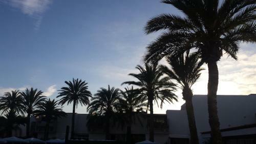 Brand New Apartment In Primavera
