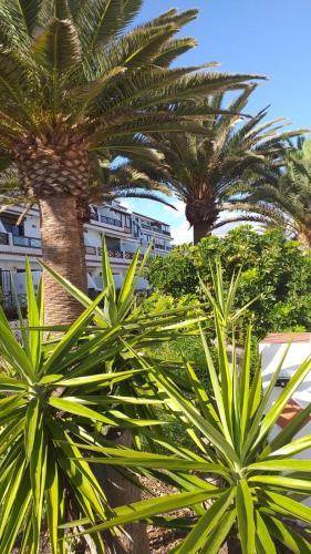 Apartamento Appartement