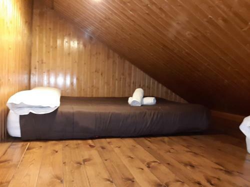 Apartamentos Domus